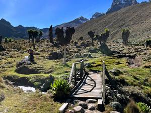 Climbing Mount Kenya 60