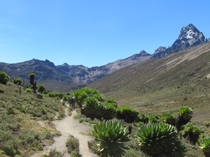 Mt Kenya Sirimon route picturesque climb path