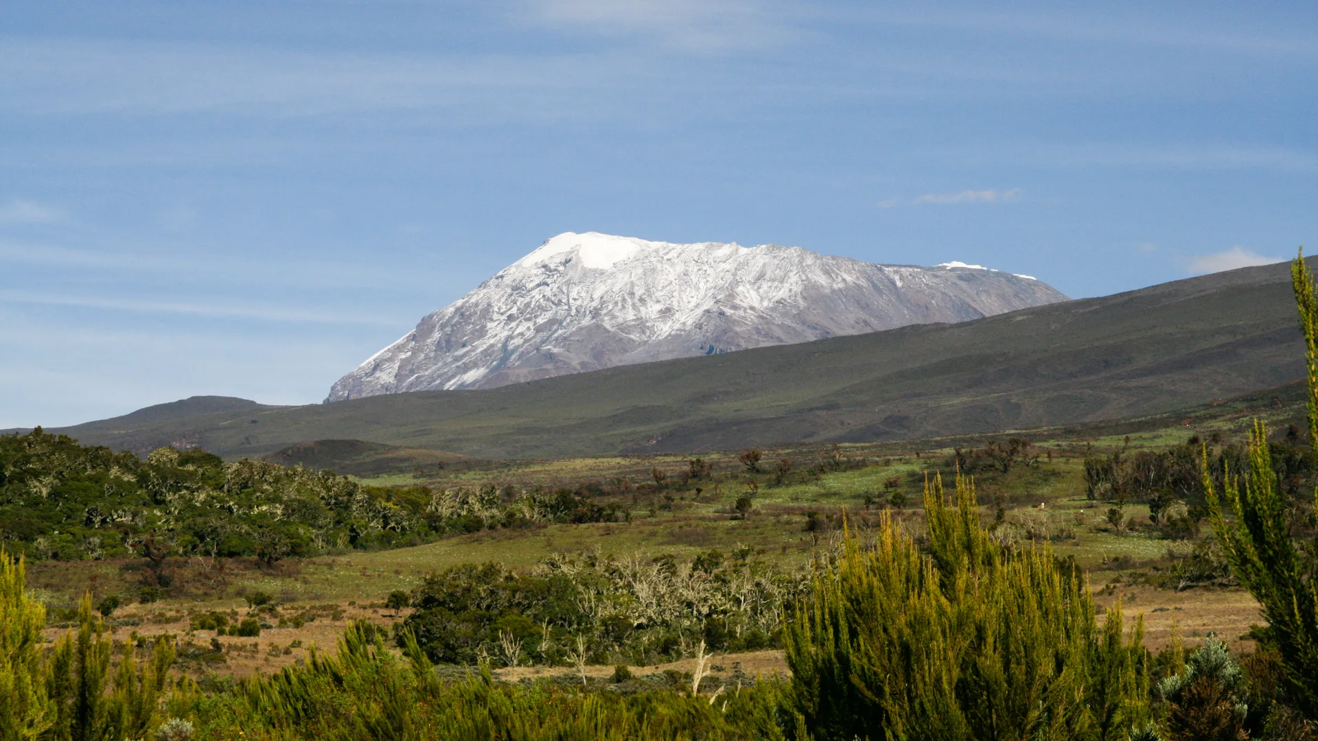 Kilimanjaro seen from the Marangu route