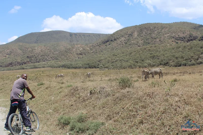 Enjoy amazing wildlife views on the memorable Sirimon route