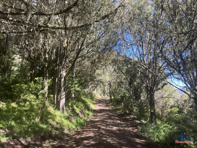 Climbing Mount Kenya 11