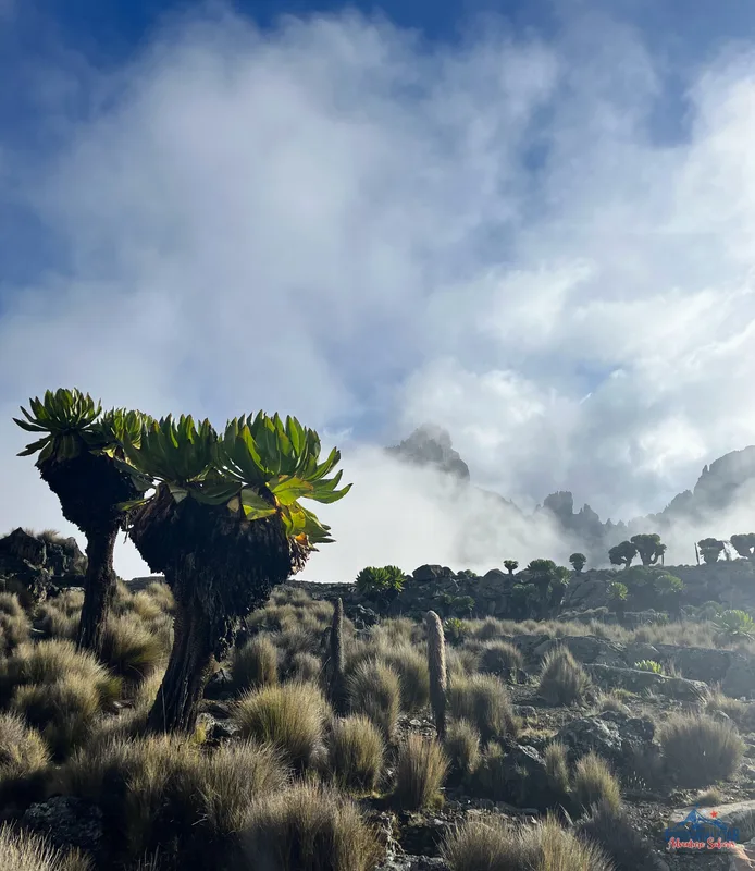 Climbing Mount Kenya 43