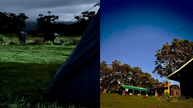 A side-by-side comparison of a camping tent with buffaloes and hut accommodations on Mt Kenya