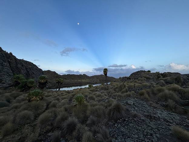 a tarn lake surrounded by moorland vegetation at dusk showing a perfect spot for Mount Kenya camping