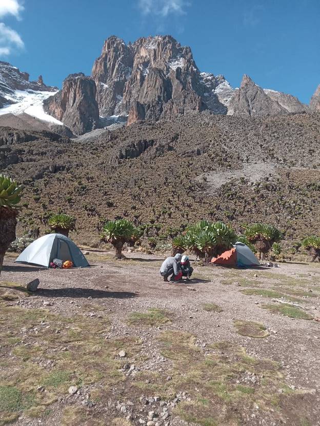 Two campers on Mount Kenya climb, setting up camp near the snowcapped peaks.