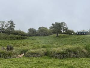 Climbing Mount Kenya 8