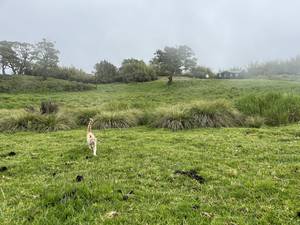 Climbing Mount Kenya 9