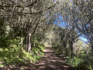 Climbing Mount Kenya 11