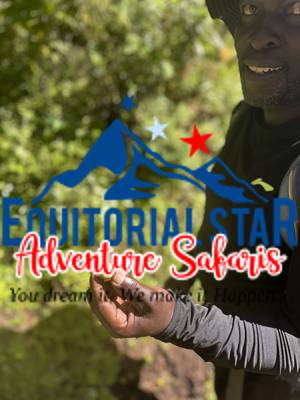 Climbing Mount Kenya 12