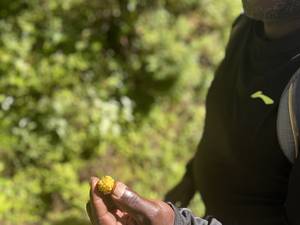 Climbing Mount Kenya 12