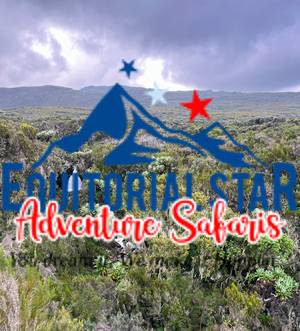 Climbing Mount Kenya 22