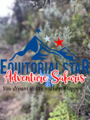 Climbing Mount Kenya 25