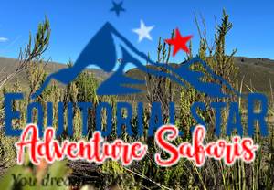 Climbing Mount Kenya 31