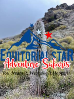 Climbing Mount Kenya 35
