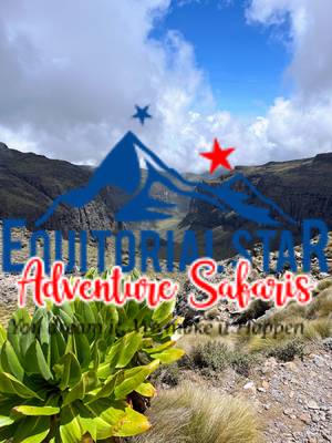 Climbing Mount Kenya 40