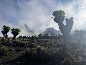 Climbing Mount Kenya 42