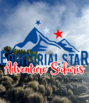 Climbing Mount Kenya 43