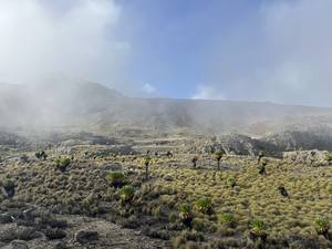 Climbing Mount Kenya 46