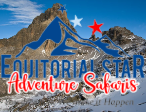 Hike to the snowy peak of one of Africa’s highest mountains