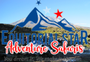 Set up a camping site while hiking Africa’s tallest mountain