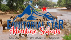 Watch elephants migrating and crossing rivers in Samburu