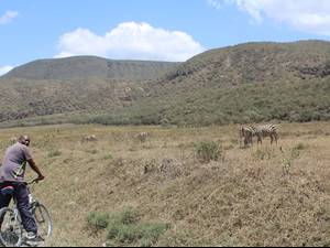Enjoy amazing wildlife views on the memorable Sirimon route
