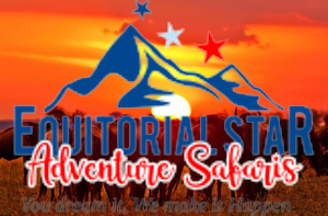 View wildebeests in their natural savanna habitat at sunset