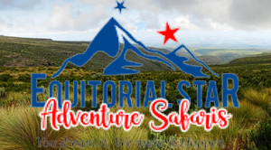 Hike through mountain vegetation in Mt Kenya and Kilimanjaro