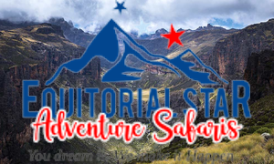 Get the perfect shot of Mt Kenya landscape during a hike