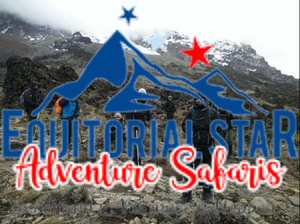 Hike Africa’s tallest mountain to the snowcapped summit